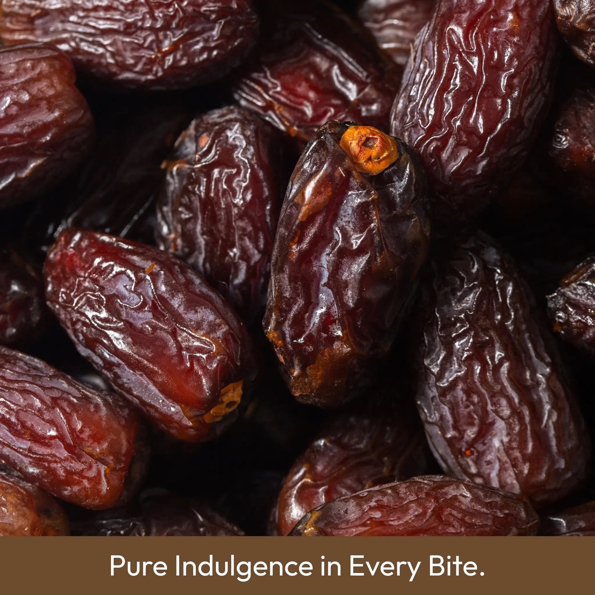 Medjool Dates | King of Dates | Soft & Jumbo Size