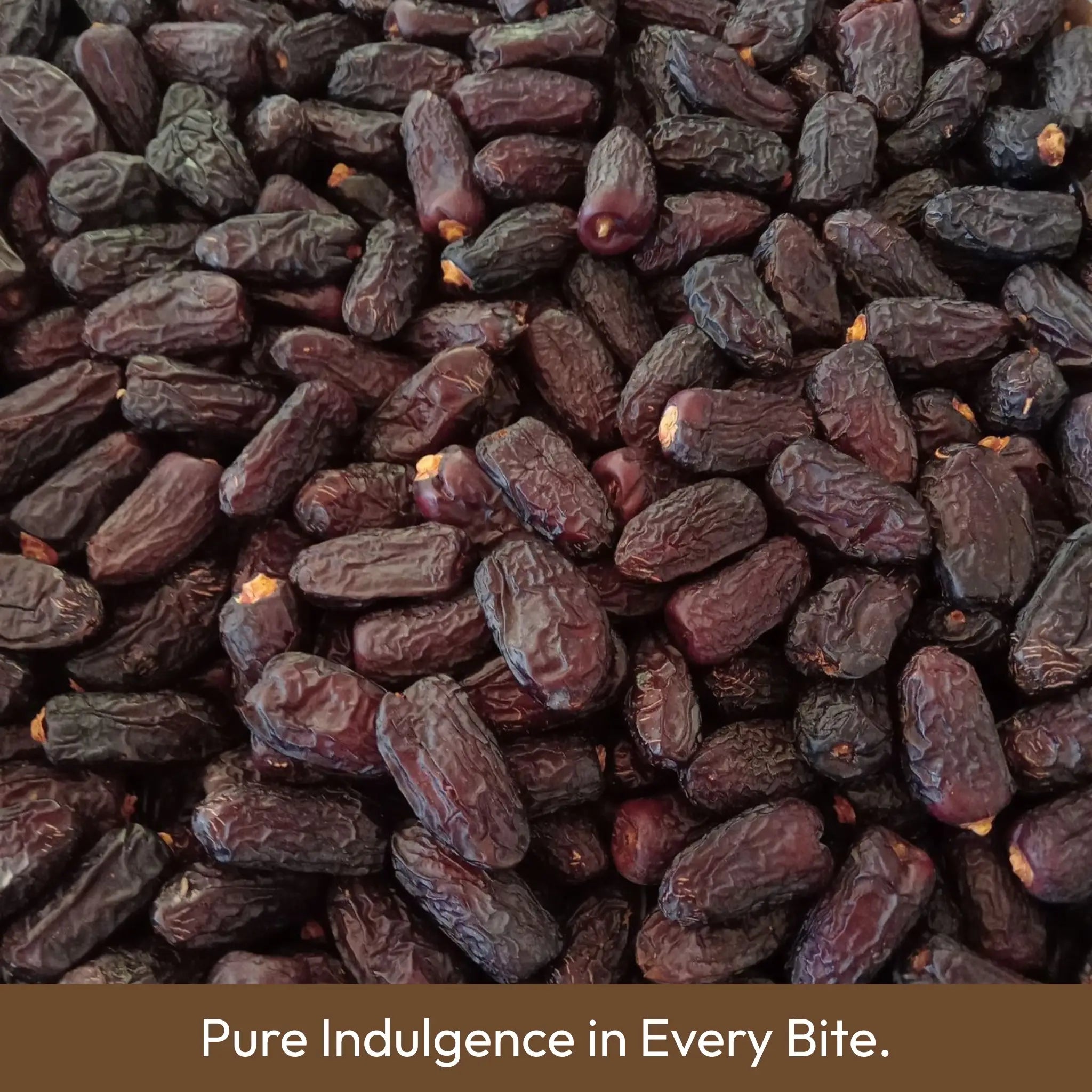 Safawi Dates | Premium Saudi Khajoor | Natural & Fresh